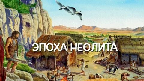 Неолит занятия людей