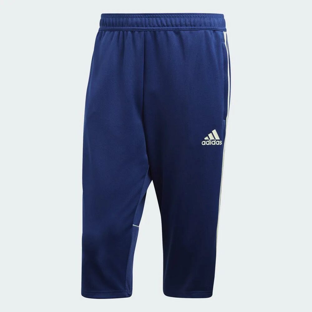 Adidas climacool бриджи. Штаны шорты адидас. Бриджи адидас мужские. Шорты спортивные ent22 3/4 pnt. Шорты adidas tierro gk sho.