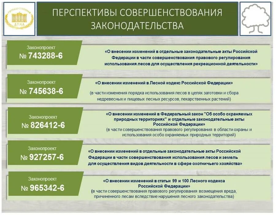 Лесное законодательство рф. Законы лесного хозяйства России. Проблемы лесного законодательства России. Законодательства в сфере лесопользования. Проблемы лесного хозяйства России.