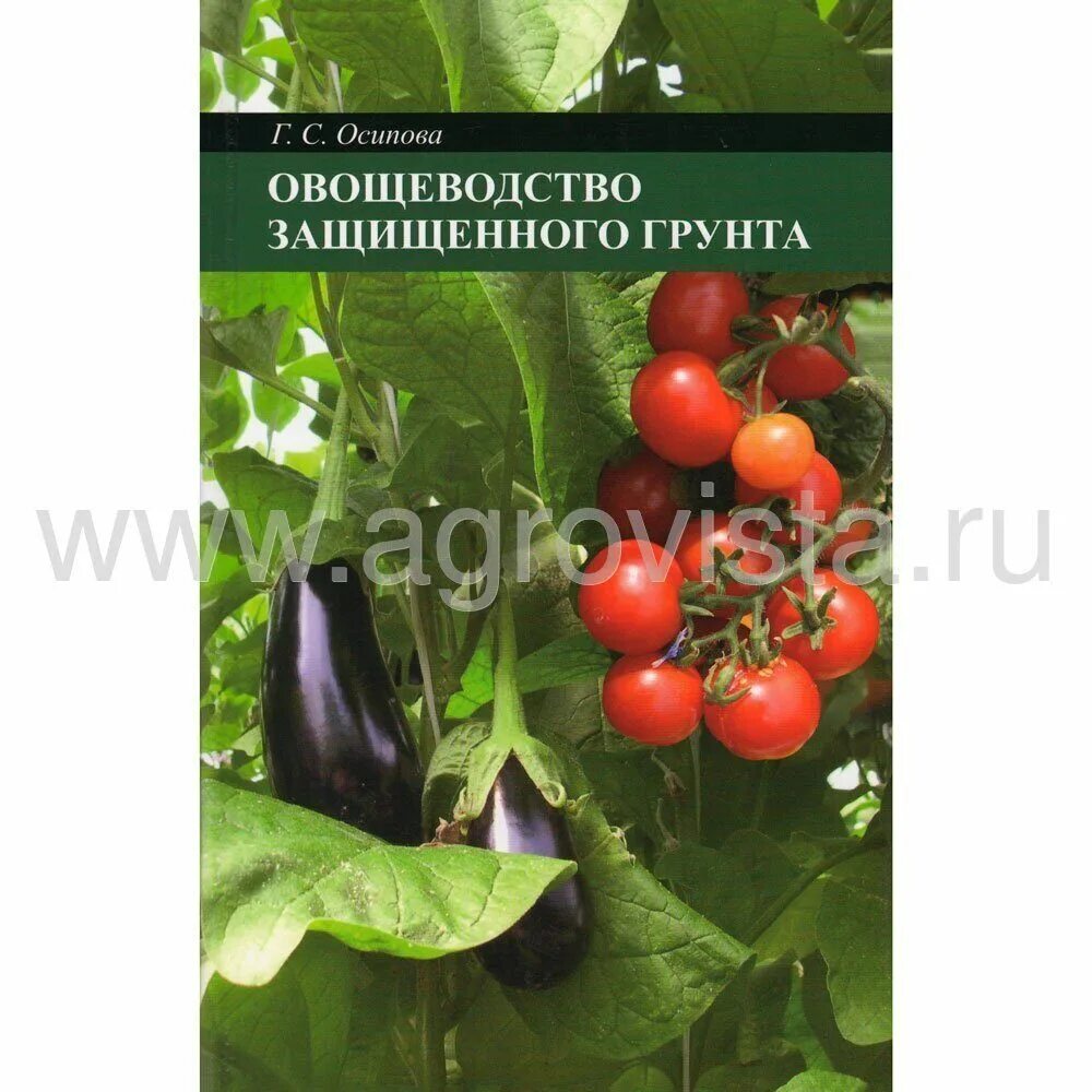 Овощеводство учебник. Овощеводство защищенного грунта. Овощеводство книга. Осипова г. с. овощеводство защищенного грунта. Овощеводстве защищённого груета.