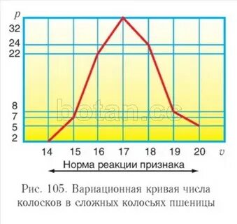 Кривая нормы реакции
