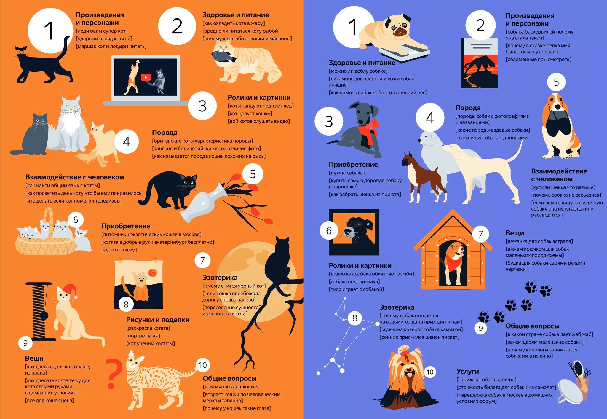 Инфографика собаки. Инфографика кошки. Содержание домашних животных. Инфографика кошки и собаки.