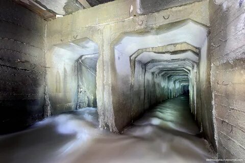 Коллекторы новосибирск
