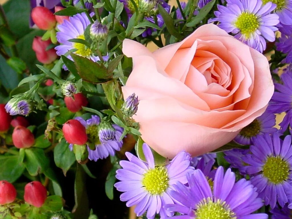 Поздравляю! (Цветок). Красивые цветы. Красивые картинки с цветами. Цветы здоровья и счастья.