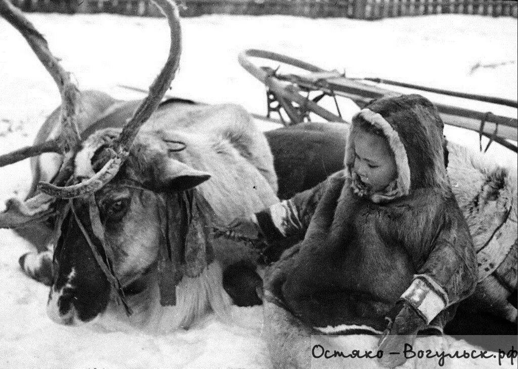 Ханты и манси в 19 веке. Народы Урала вогулы (манси). Ханты (остяки). Манси (вогулы). Манси остяки. Манси урала