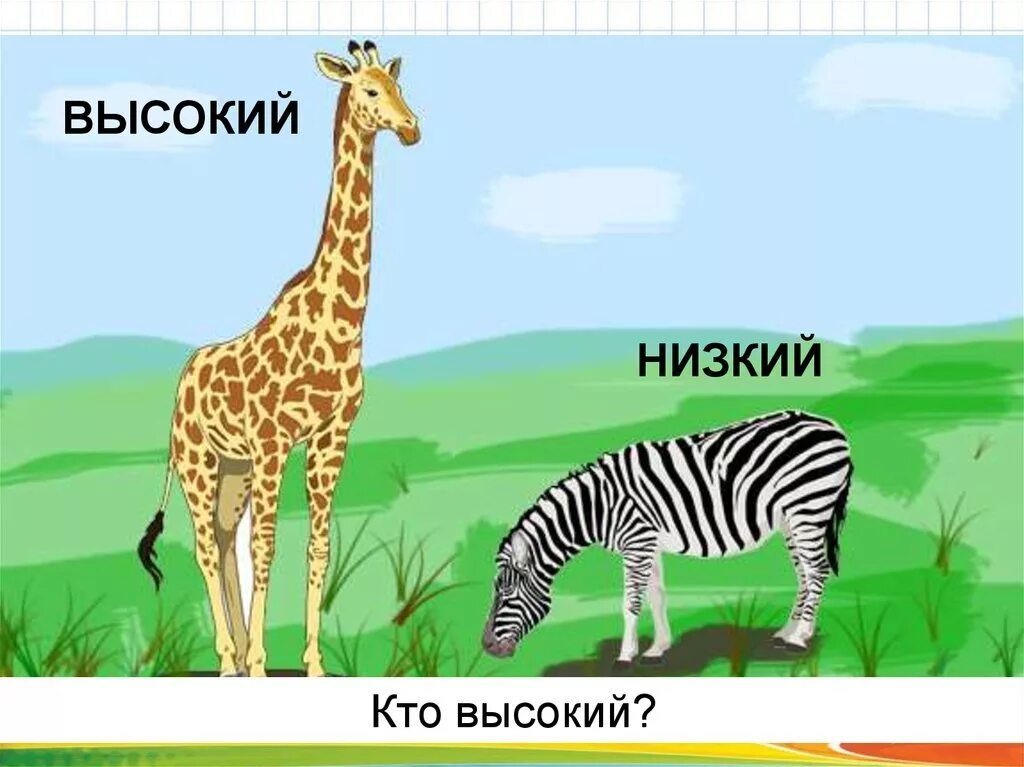 Высокий - низкий. Высокий низкий для детей. Карточки "высокий - низкий". Выше ниже для дошкольников.