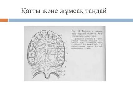 Әйеліммен ең жақсы порно