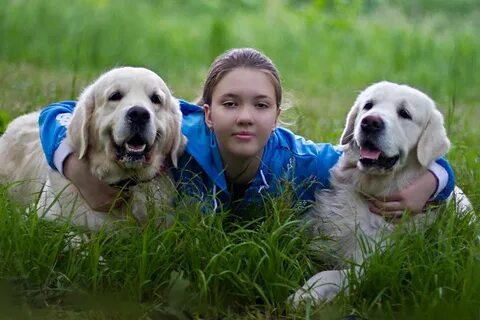 Щенки никогда