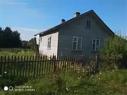 Авито ельня смоленская