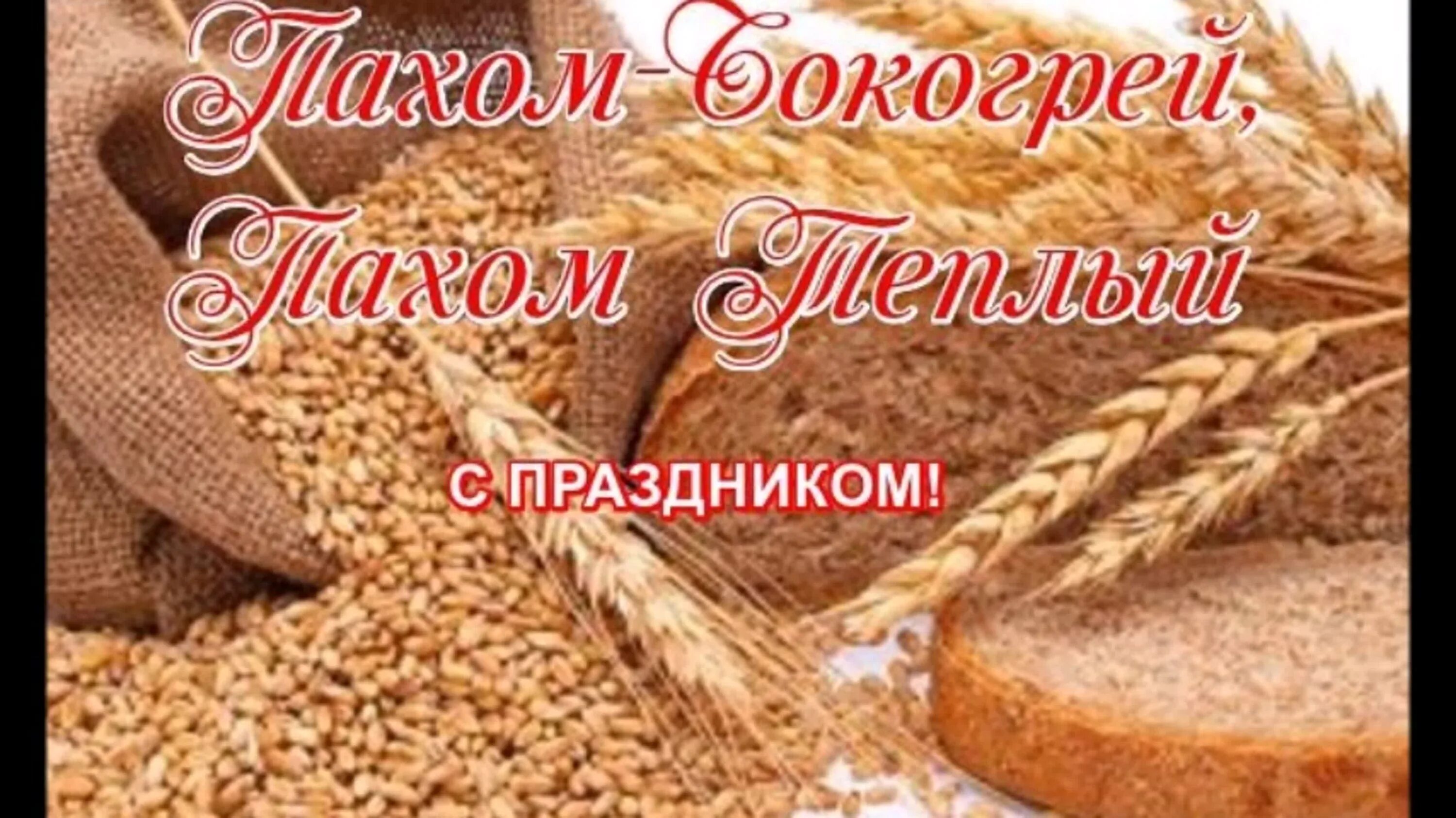 Теплые праздник. Теплые праздник