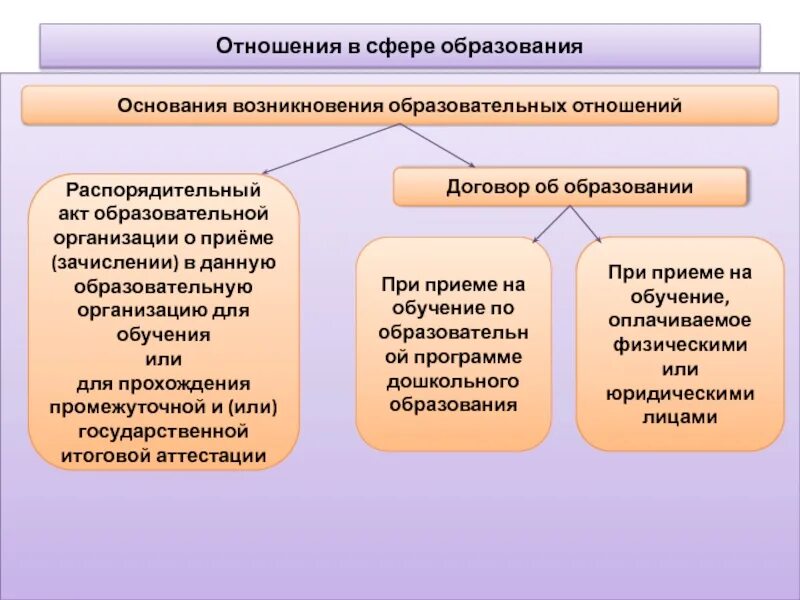 Возникновение образовательных отношений. Образовательные правоотношения. Схема возникновение образовательных отношений. Образовательных отношений презентация. Служебные отношения в образовательной организации