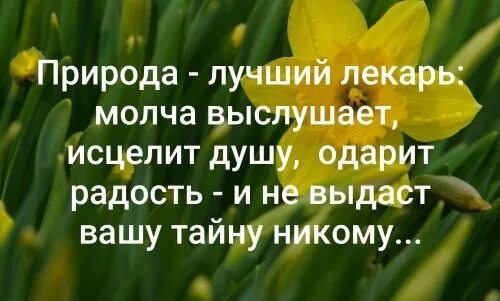 Лучший лекарь. Разум лучший лекарь. Лучший лекарь. Самый лучший лекарь для души это ласковые. Природа лучший лекарь выслушает.