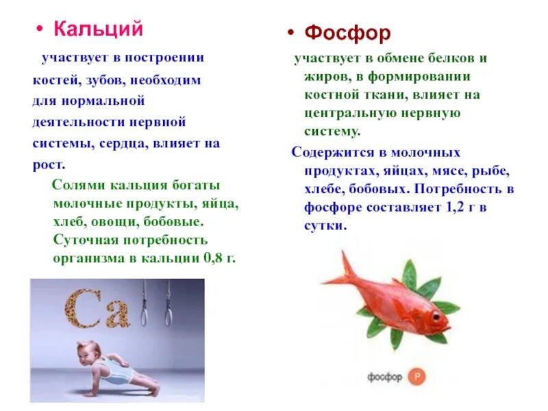Соотношение кальция и фосфора. Соотношение кальция и фосфора в мясе. кальций и фосфор в мясе. кальций участвует в.