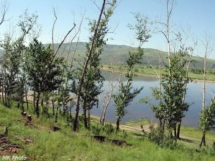Карповка забайкальский край