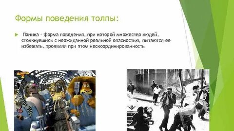 Черты поведения людей во время массовой паники