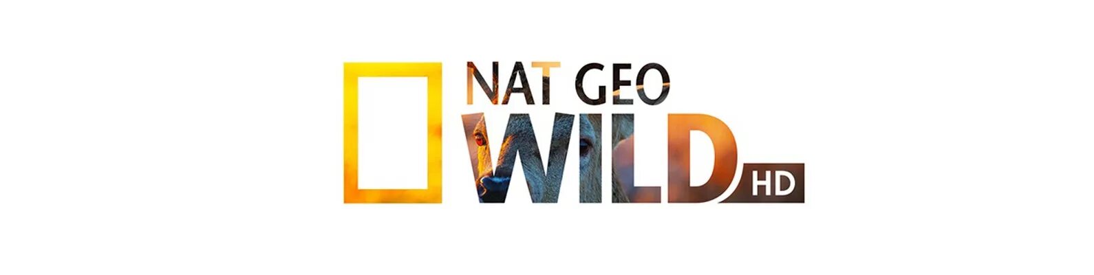 Телеканал National Geographic Wild. Телеканал нат Гео вайлд. Телеканал National Geographic Wild логотип.