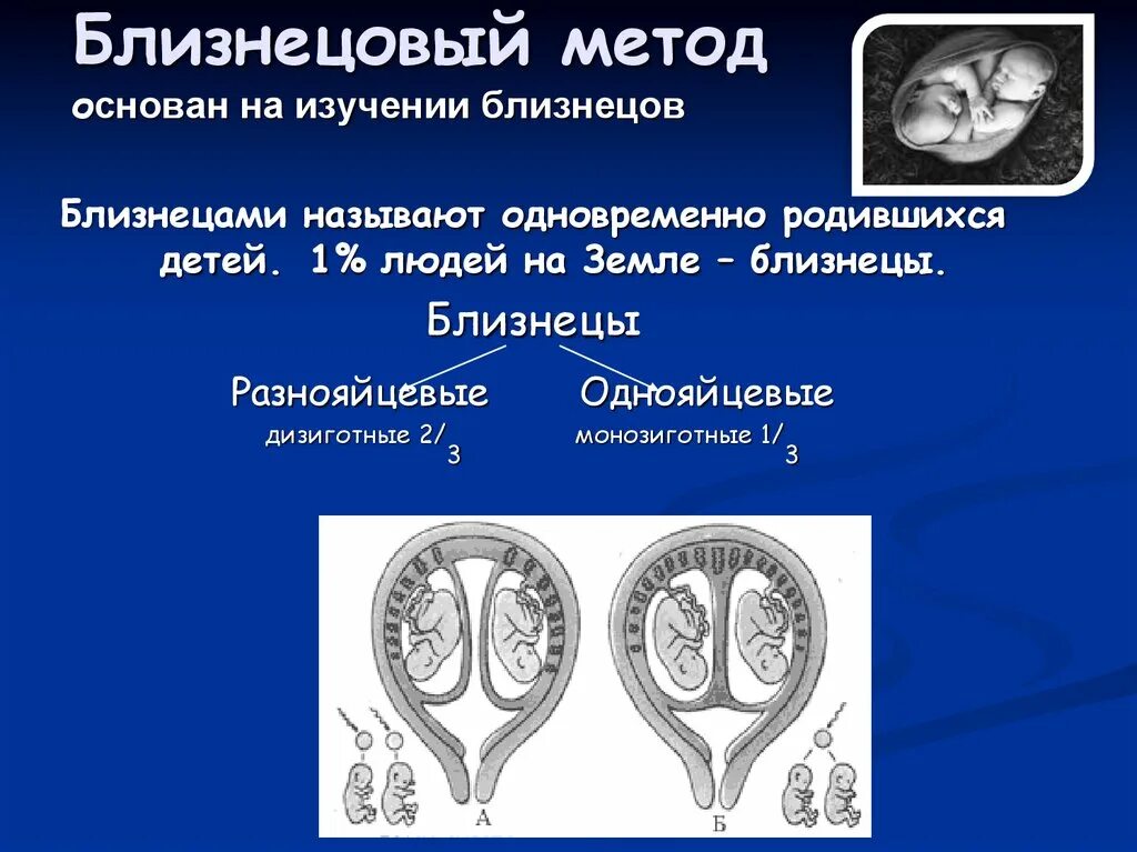 Близнецовый метод человека. Близнецовый метод. Близнецовый метод основан. Близнецовый метод исследования. Близнецовый метод презентация.