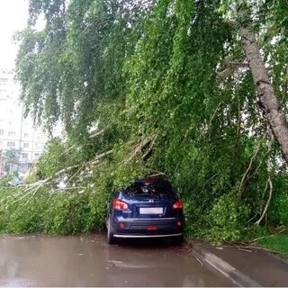Новости новокуйбышевска подслушано