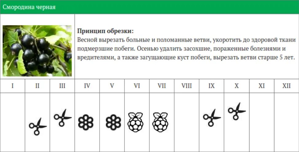 Лунный календарь 2025 обрезка деревьев. Таблица обрезки плодовых деревьев. календарь обрезки деревьев. календарь обрезки плодовых кустарников. календарь обрезки деревьев и кустарников.