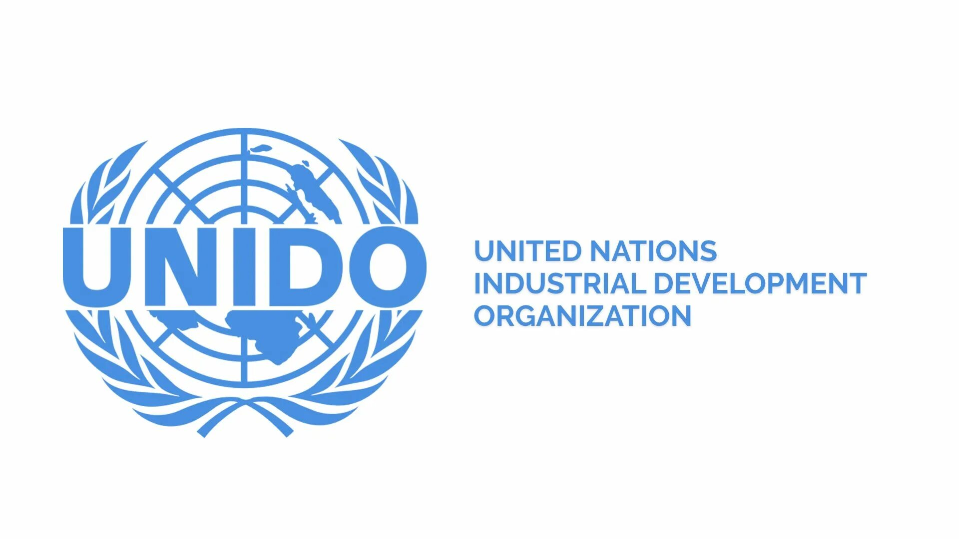 United Nations Industrial Development Organization. Стандарт ЮНИДО. Бизнес-план по стандартам Unido. ЮНИДО проекты.