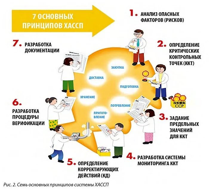 Внедрение продукта в компании. Внедрение системы ХАССП на пищевом предприятии. Этапы внедрения ХАССП. Система ХАССП 7 принципов. 7 Принципов ХАССП на пищевых предприятиях.