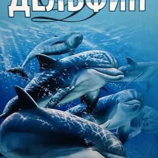 Автомойка дельфин