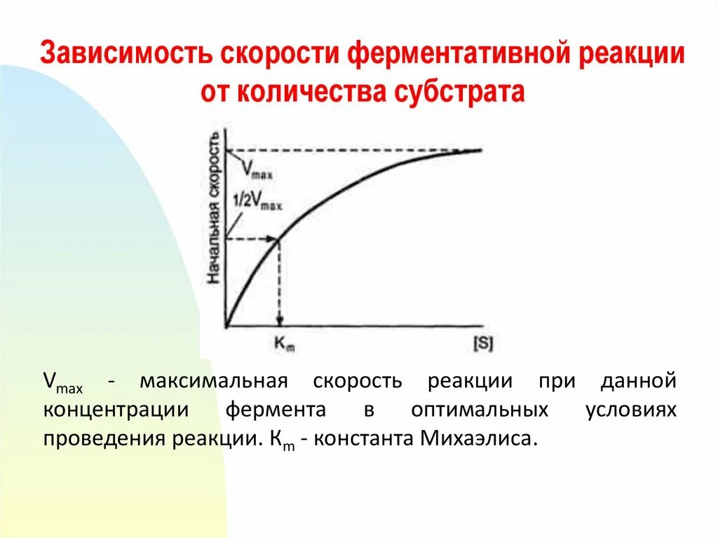 График зависимости скорости реакции от концентрации. Зависимость скорости ферментативной реакции от. график зависимости скорости ферментативной реакции от температуры. зависимость скорости реакции от количества субстрата. зависимость скорости ферментативной реакции от субстрата.