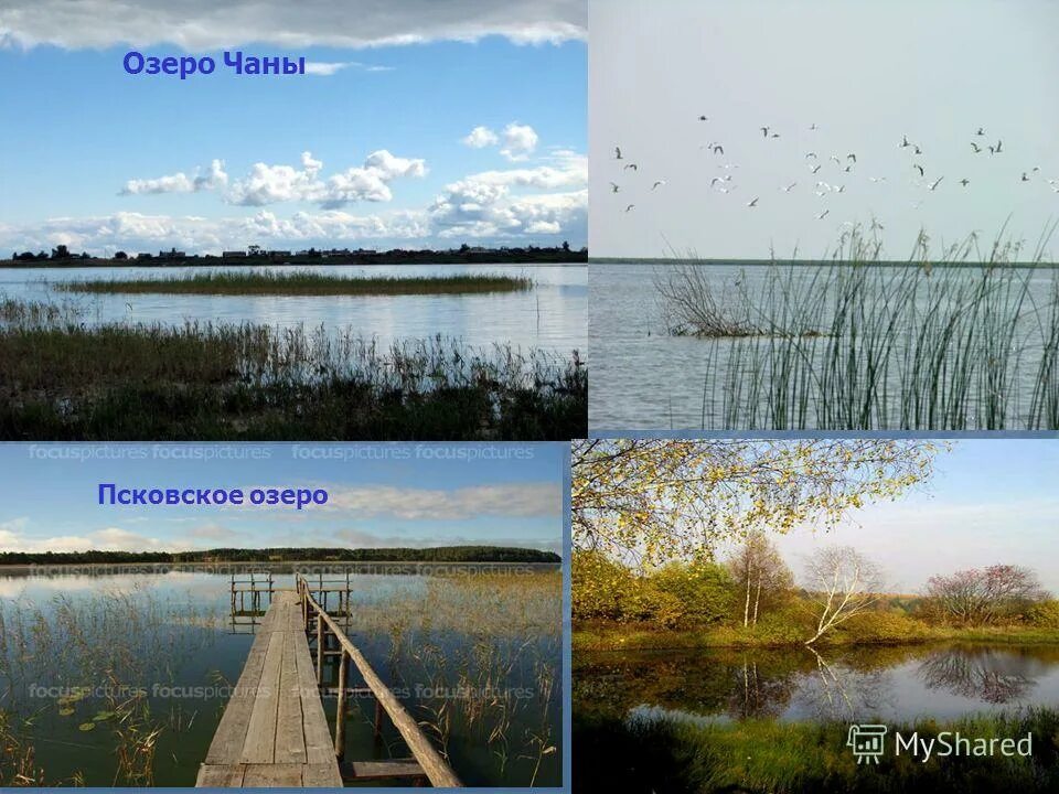 озеро чаны происхождение озерной котловины. происхождение озерной котловины озера. озеро чаны озёра новосибирской области. озеро чаны происхождение озерной котловины. озеро чаны презентация.