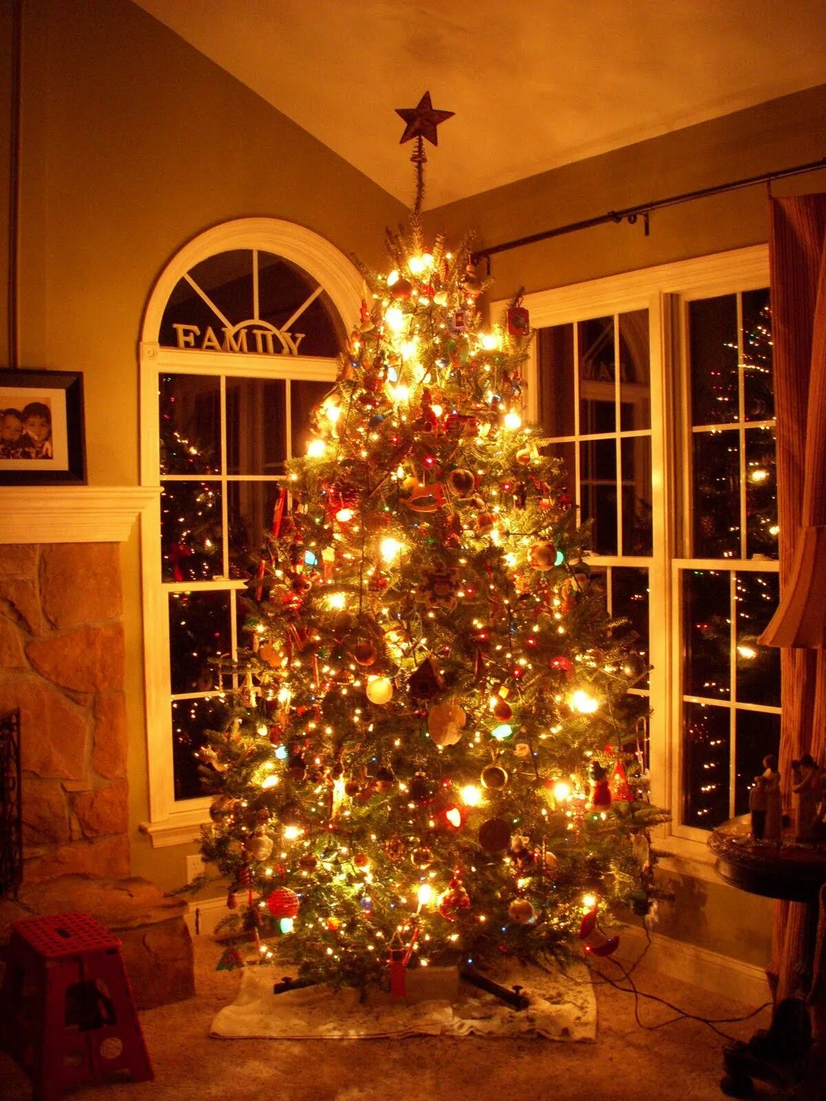 Фотки новогодней елки. Красивая елка. Новогодняя елка. Рождественская елка. Наряжаем елку.