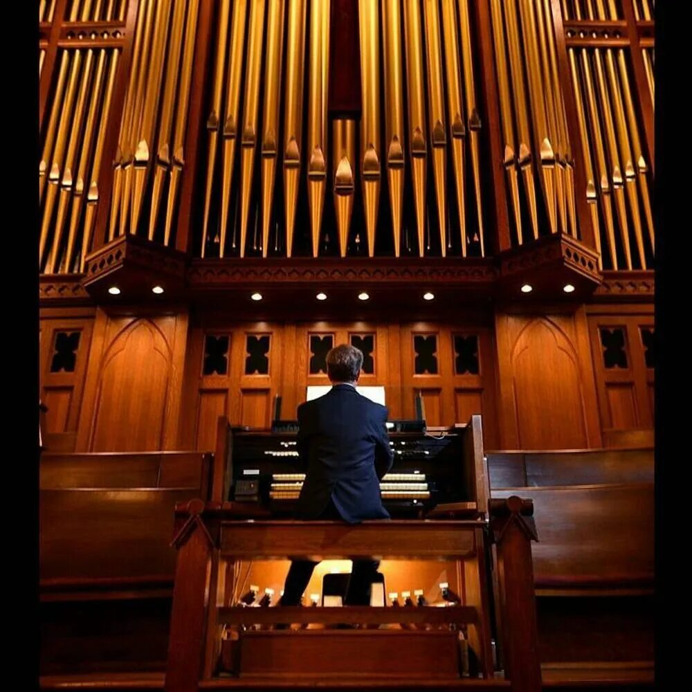 Органный концерт "и. Денис ивенский дирижер. Стеклянный орган. Доклад по органной музыке. Собор непорочного зачатия пресвятой девы марии орган.