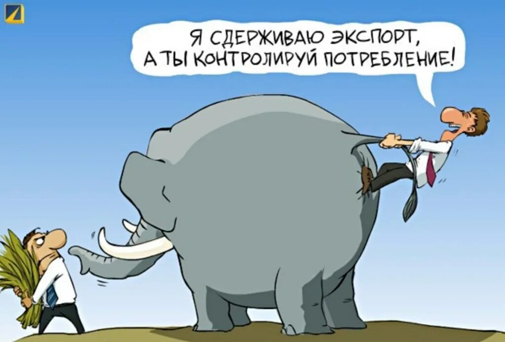 Импорт директор