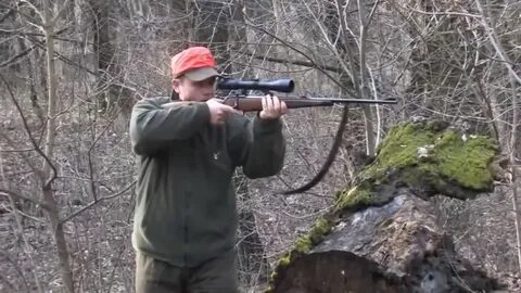 Выстрел на охоте