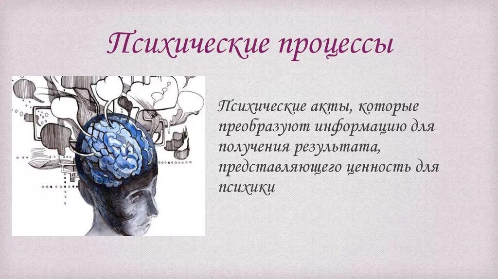 Свойство мозга отражать. Психические процессы. Психологические процессы. Психические процессы в психологии. Психические процессы презентация.