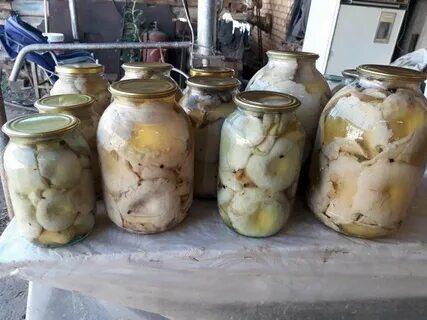 Грузди горячим способом в банке