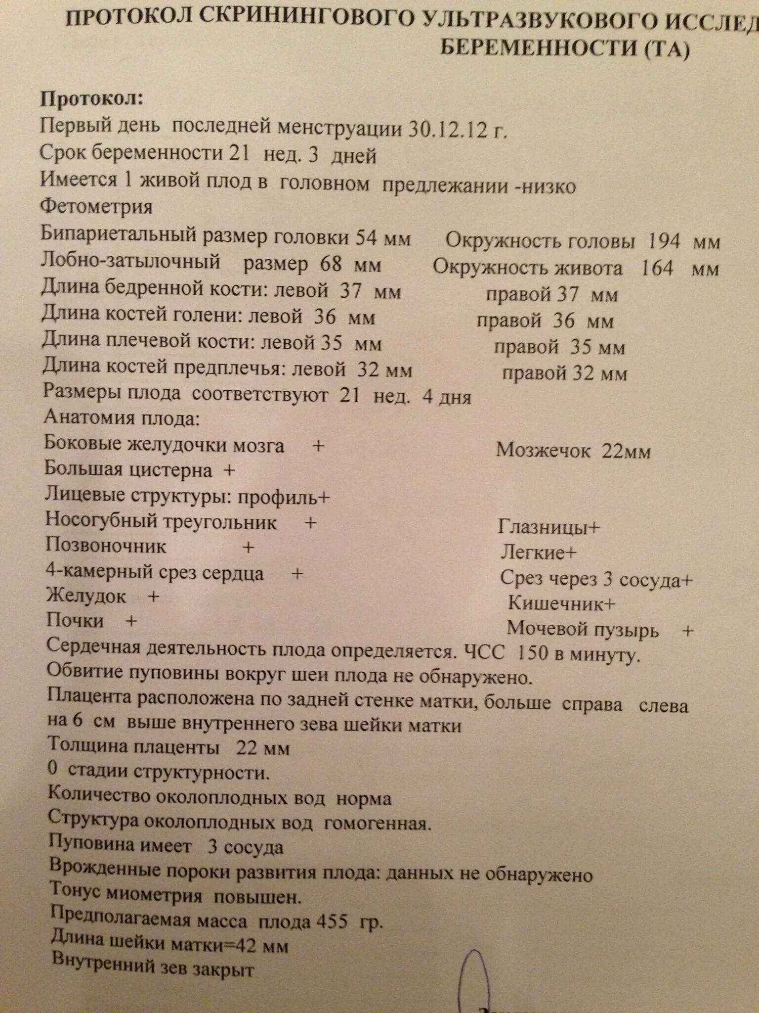 Большая цистерна больше нормы. Большая цистерна плода норма в 31 недели беременности. Нормы размеров большой цистерны головного мозга у плода. Большая цистерна мозга норма у плода 20 недель. УЗИ большая цистерна плода норма.