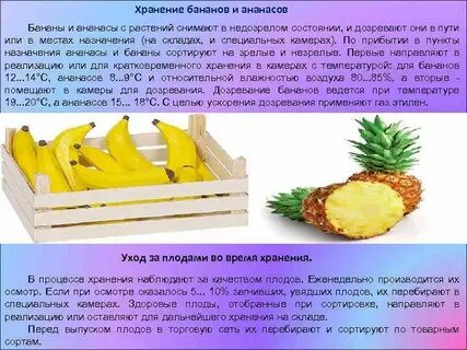 Срок годности ананаса