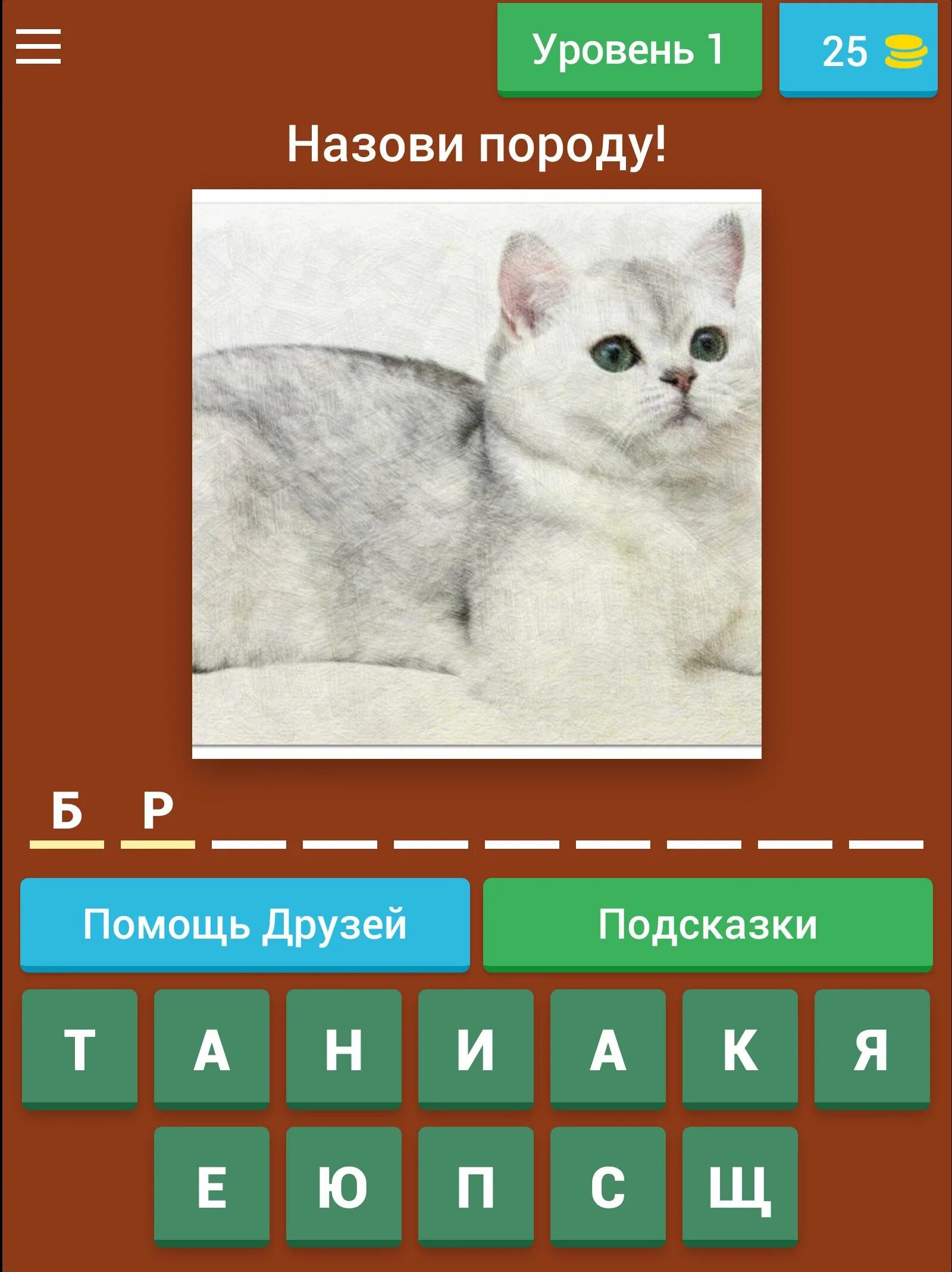 Игра кошка ответы. Угадать породу кота. Отгадай породу кошки. Угадай породу моей кошки. Игра Угадай породу кошек ответы.