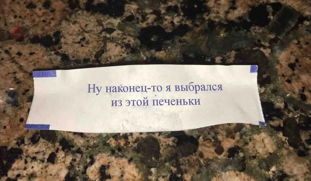 Выезд на природу прикол. Отпуск наконец то. Кошка на пляже. Наконец выбрались. Наконец выбрались.
