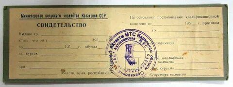 Мсх документы