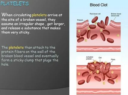 What blood does