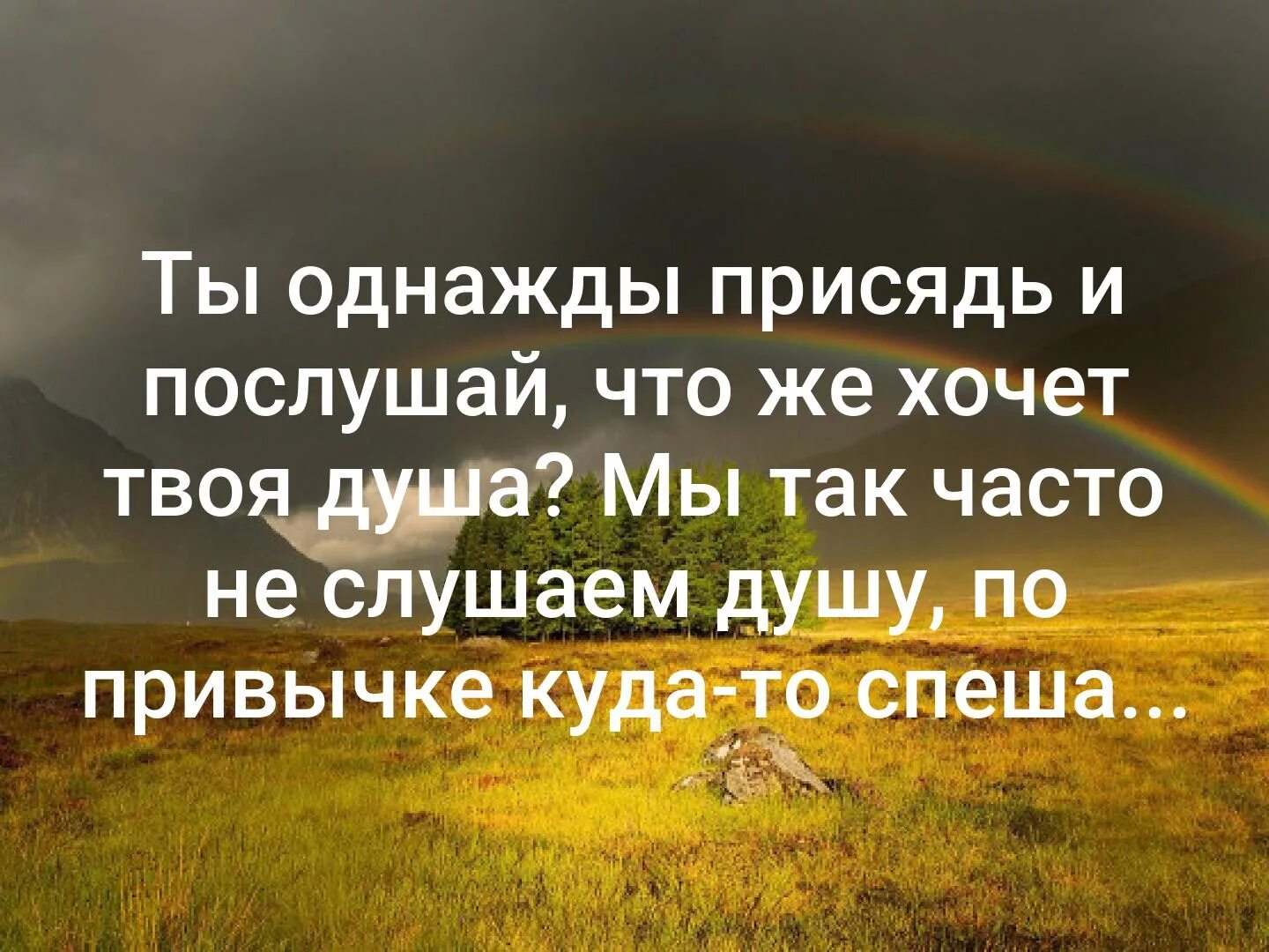 Слушать душевные истории. Ты однажды присядь и послушай. Ты однажды сядь и послушай что же хочет твоя душа. Цитаты о душе со смыслом. Мы так часто не слушаем душу по привычке куда-то спеша.