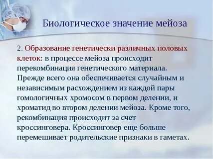 Благодаря оплодотворению и мейозу