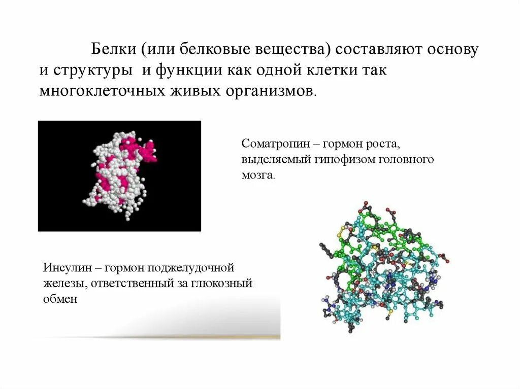 Белки в природе химия презентация. Белковые вещества. Белок вещество. Соматропин белковый гормон?. Образующиеся соединения белков