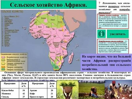 Основные сельскохозяйственные культуры африки