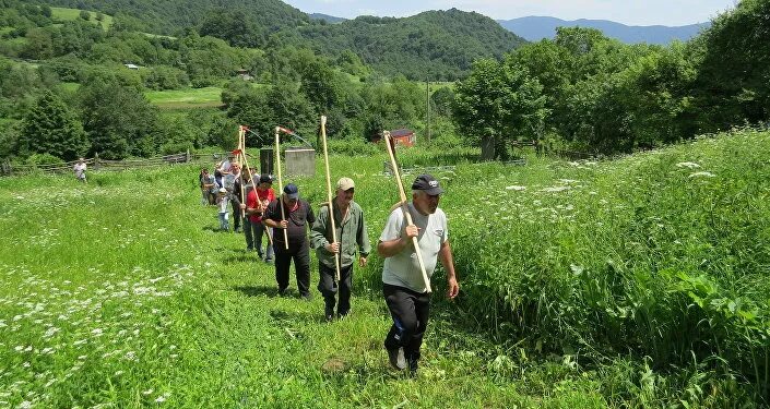 Погода в осетии в мае. Квайса Южная Осетия природа. Лиахвский заповедник Южная Осетия. Село Теделети Южная Осетия. Южная Осетия Джавский район природа.