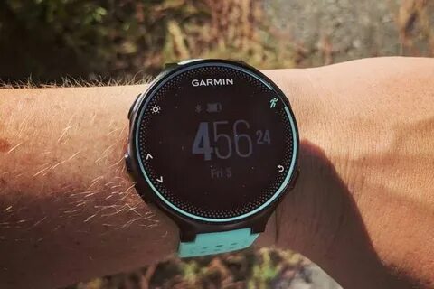 Форанер 55 гармин