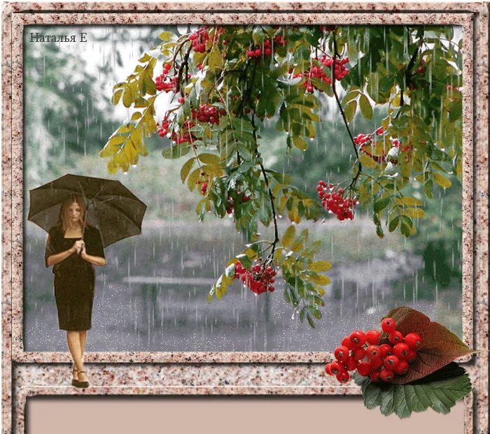 Песни дождливым вечером. Скоро осень за окнами август. Осеннее дождливое утро в саду. Рябина под дождем. Дождливый день сентября.
