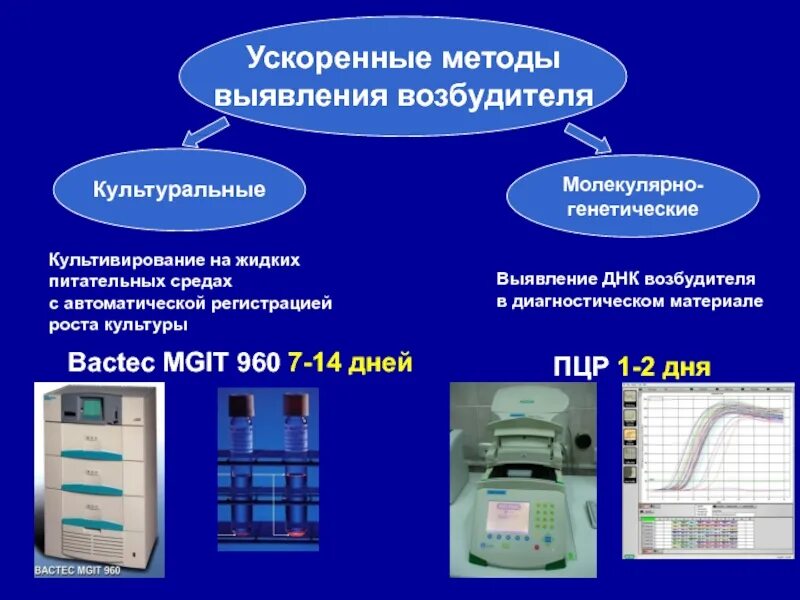 Современные методы идентификации. Ускоренные методы выявления возбудителя туберкулеза. пцр-диагностика туберкулеза. метод ускоренного выявления туберкулеза. методы микробиологической диагностики туберкулеза.