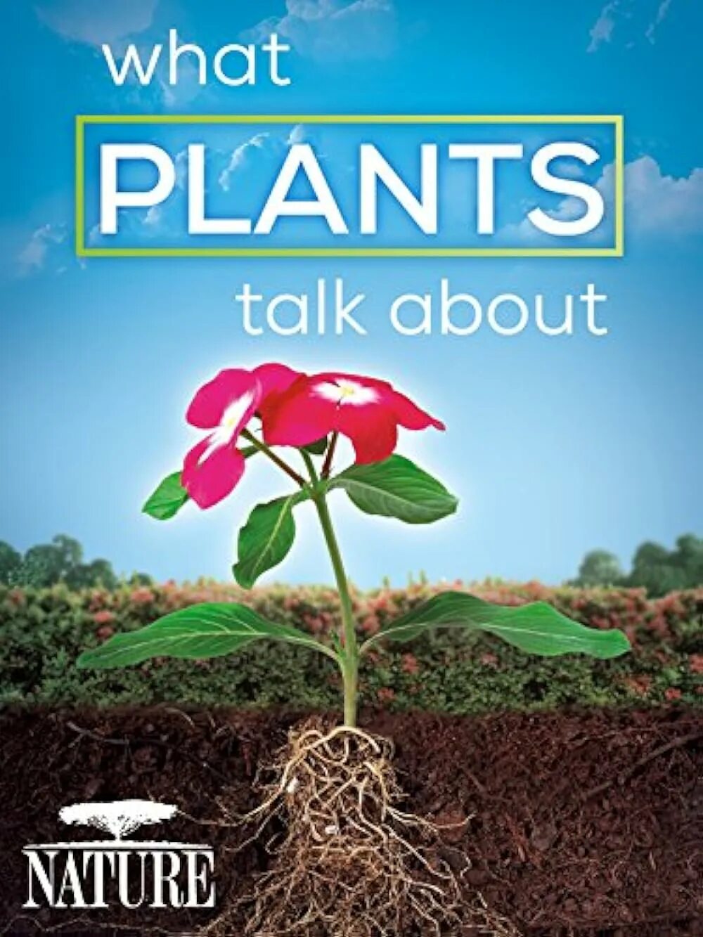 Тетрадь talk to Plants. Тетрадь 48 листов talk to Plants. Talking about nature. Jenshhen Plant for what. Plants tv