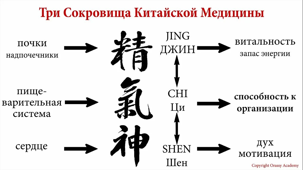 Китайская медицина органы. Синдромы в китайской медицине. Традиционная китайская медицина. Концепции китайской медицины. Принципы китайской медицины.